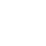 FIN